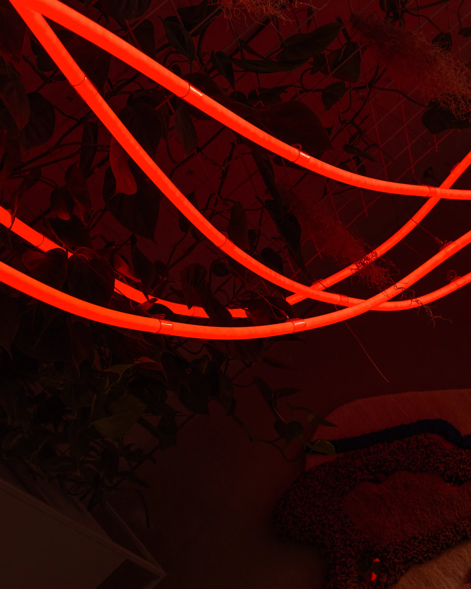Nightcrawler — fotografie 12